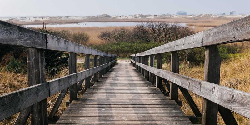 强强联合,驱动未来:瑞能动力能源产品如何赋能新能源汽车产业升级