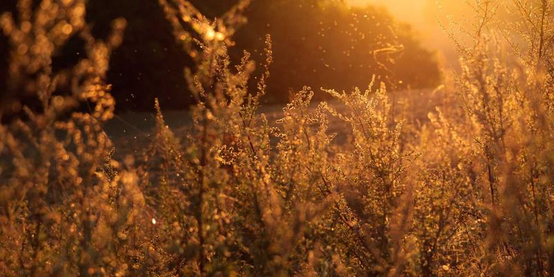 瑞能动力工商业储能系统：如何用能源产品实现电费减负与收益增长？